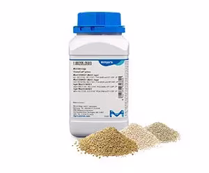 Môi trường nuôi cấy vi sinh vật